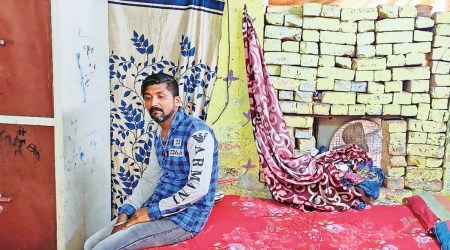 Lucknow, Lucknow news, Uttar Pradesh, Uttar Pradesh news, mauled by stray dogs, Indian Express, India news, current affairs, Indian Express News Service, Express News Service, Express News, Indian Express India News