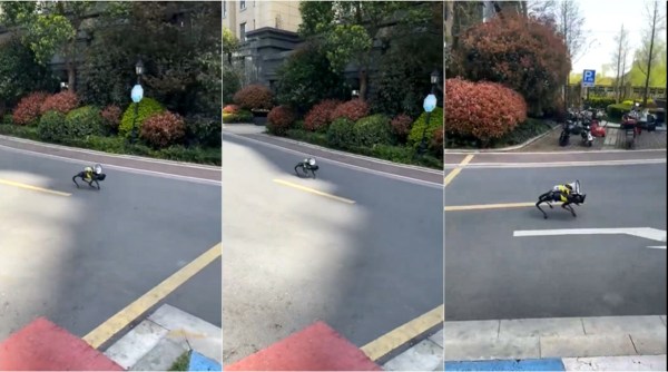 shanghai, robo dog, shanghai robot covid patrol, shanghai robot dog video, viral videos, indian express, covid lockdown china