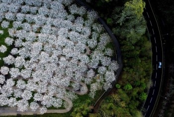 Must see spring season pictures from around the world
