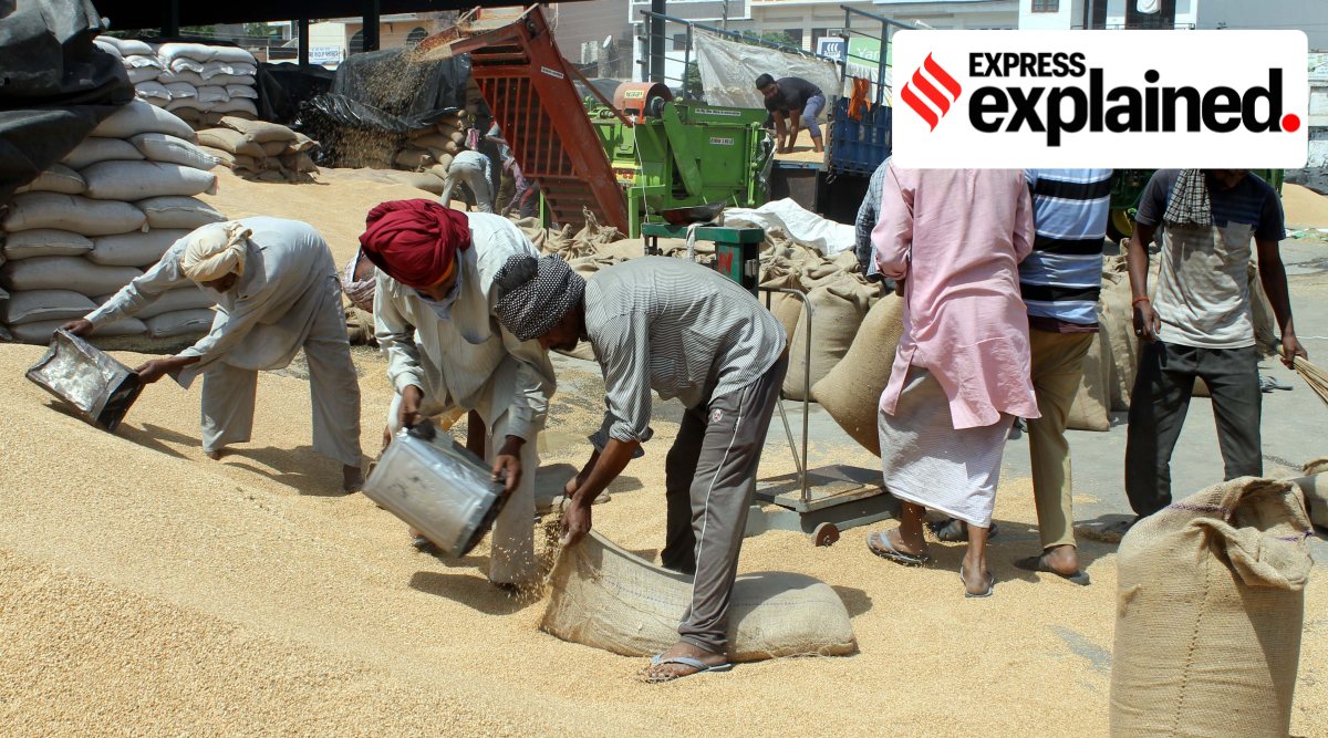 Wheat being packaged at a market in Patiala. (Express Archive)