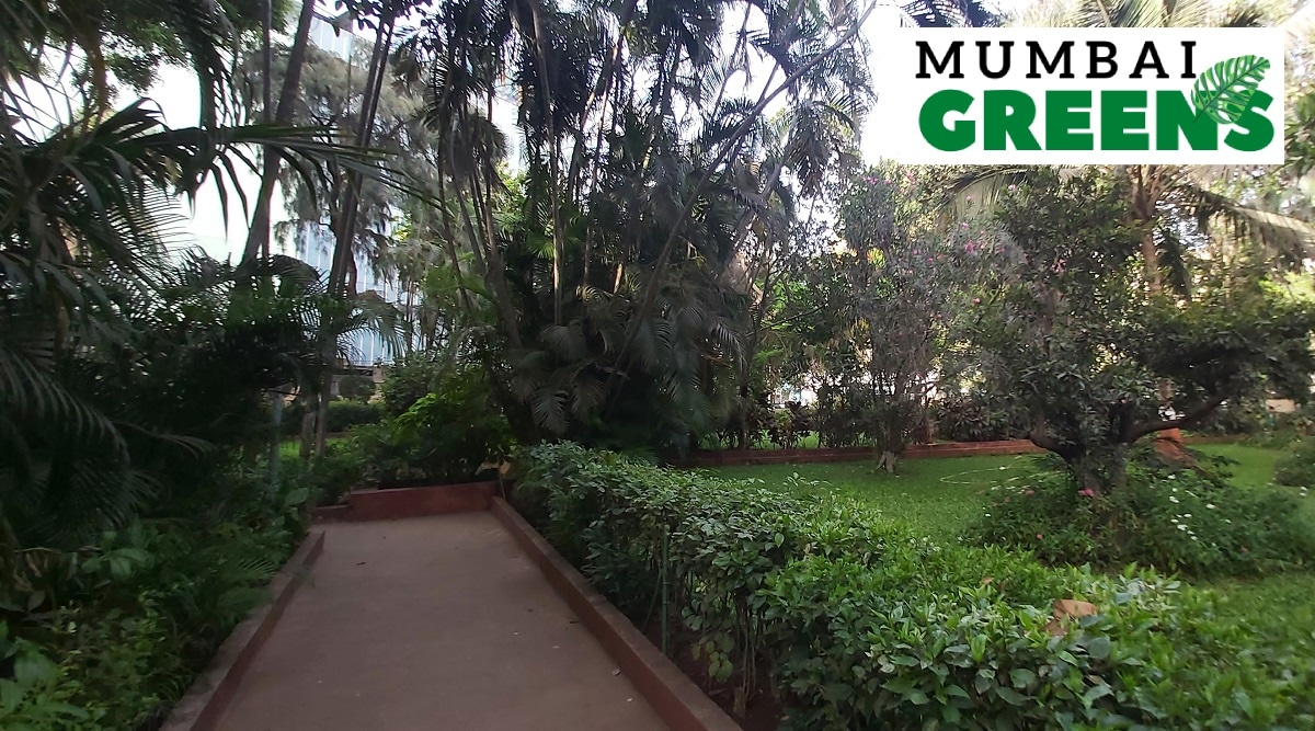 mumbai-greens-johnson-johnson-garden-is-small-but-packs-a-punch