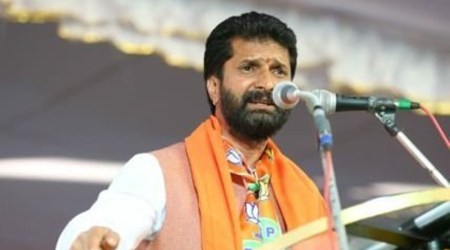 BJP Goa in-charge C T Ravi (File)