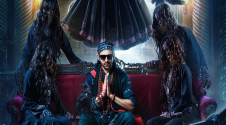 Bhool Bhulaiyaa 2 box office collection, Bhool Bhulaiyaa 2 box office