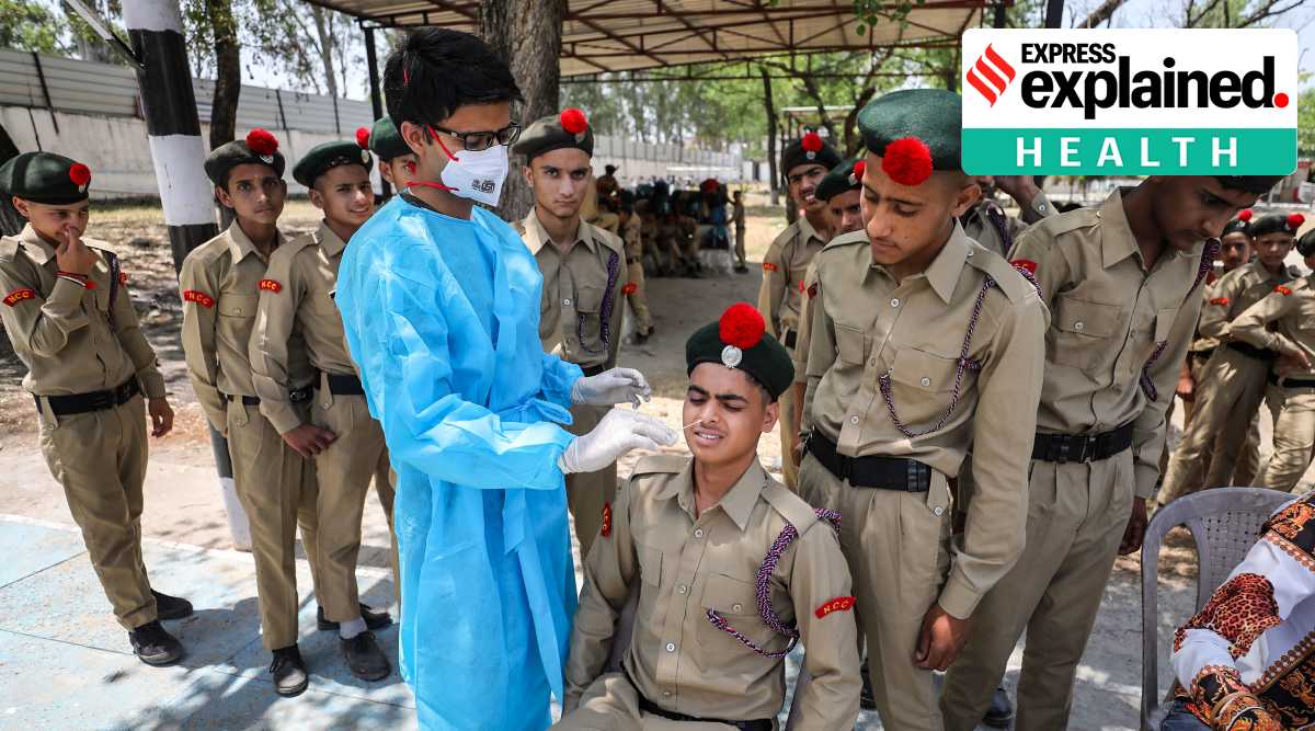 A healthcare worker collects a swab sample of an NCC cadet for Covid-19 test, on the first day of a 10-day NCC camp at Nagrota, on the outskirts of Jammu, Wednesday, May 18, 2022. (PTI Photo)