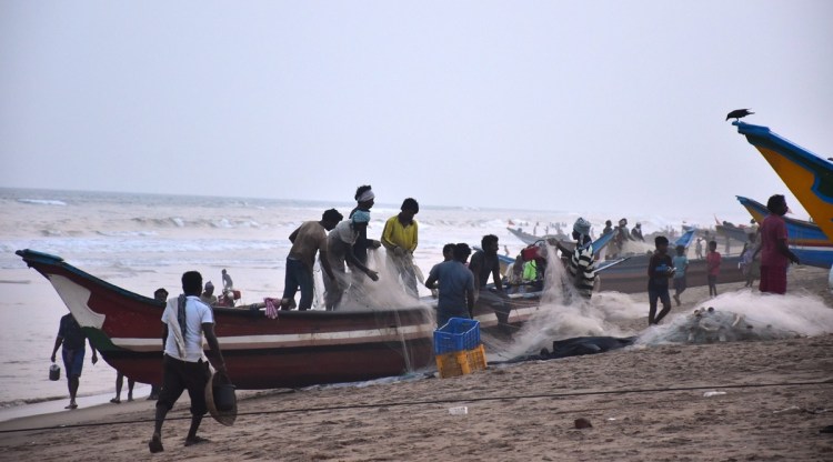Fishermen unload their catche and tie their boats to anchors as they brace for heavy rain courtesy Cyclone Asani. (Photo: PTI)