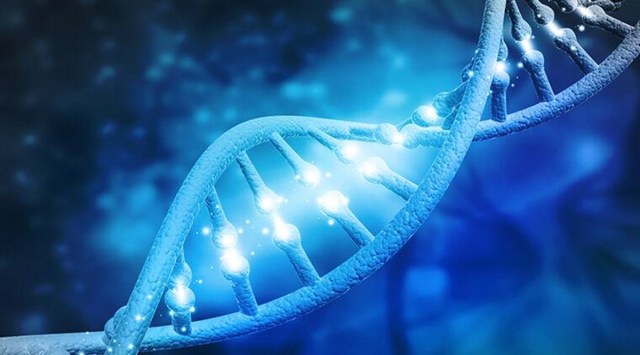 Sources said that vaginal sample swabs collected from sexual assault victims, through which the DNA of suspects can be traced, will also be a part of the repository. (File)