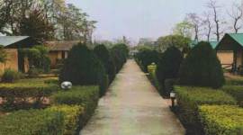 New Delhi, Najafgarh, Delhi heritage, Delhi culture, Delhi news, Delhi city news, New Delhi, India news, Indian Express News Service, Express News Service, Express News, Indian Express India News