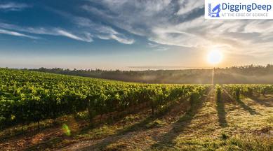 World's first farmers, Worlds first farmers, Fertile Crescent, Early European Farmers