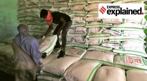 Explained: Fertiliser supply disrupted, how does government plan to meet shortfall?