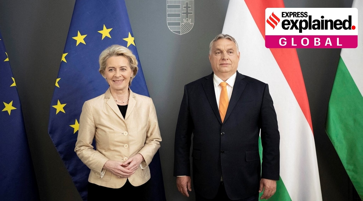 Hungary's Prime Minister Viktor Orban and European Commission President Ursula von der Leyen pose for a picture during their meeting in Budapest, Hungary. (Hungarian PM's Press Office/ REUTERS)