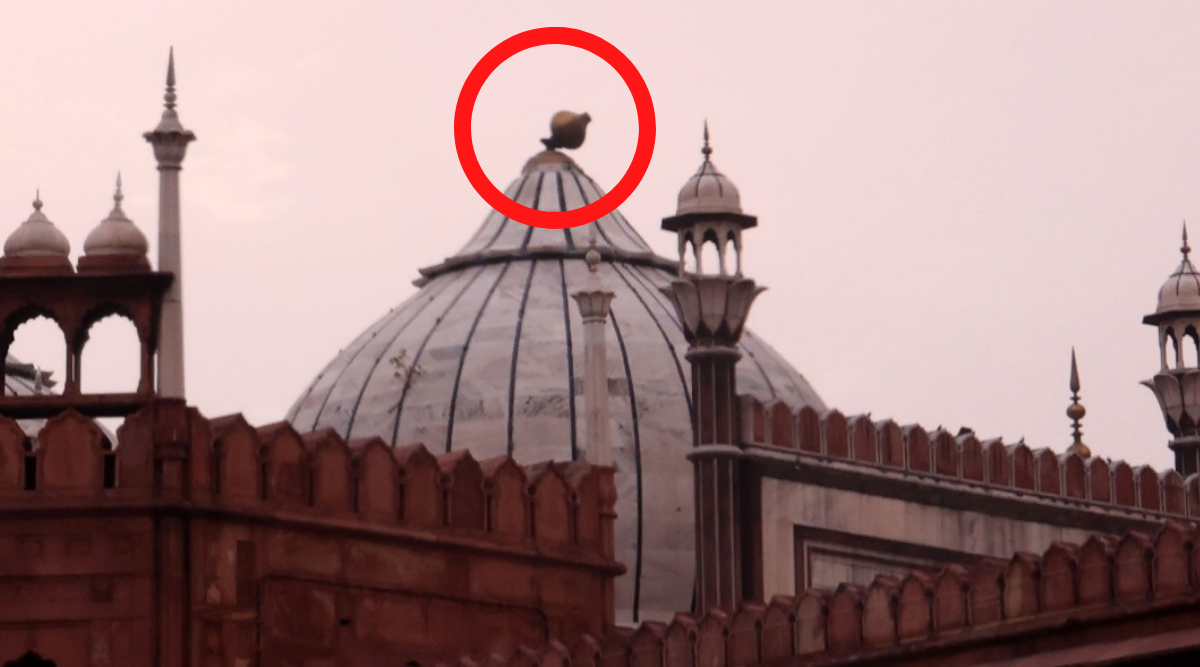 Delhi rains: Jama Masjid suffers damage as thunderstorm surprises ...