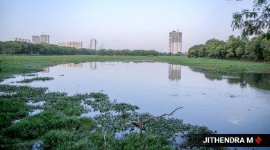 K R Puram lake bengaluru