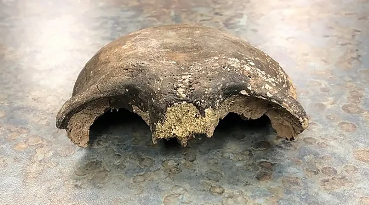 In an undated image provided by the Renville County Sheriff's Office, part of a skull, believed to be about 8,000 years old, found in the Minnesota River in September 2021. (Renville County Sheriff's Office via The New York Times)
