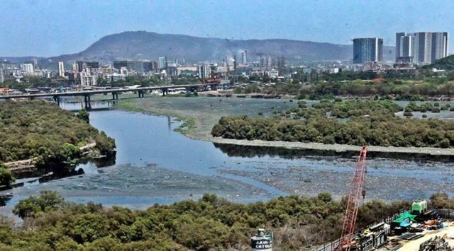 Mithi river cleaning