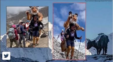 Everest Marathon, marathon with tiger suit, 59-year-old runs Everest Marathon, Bengal tiger, Mount Everest, indian express