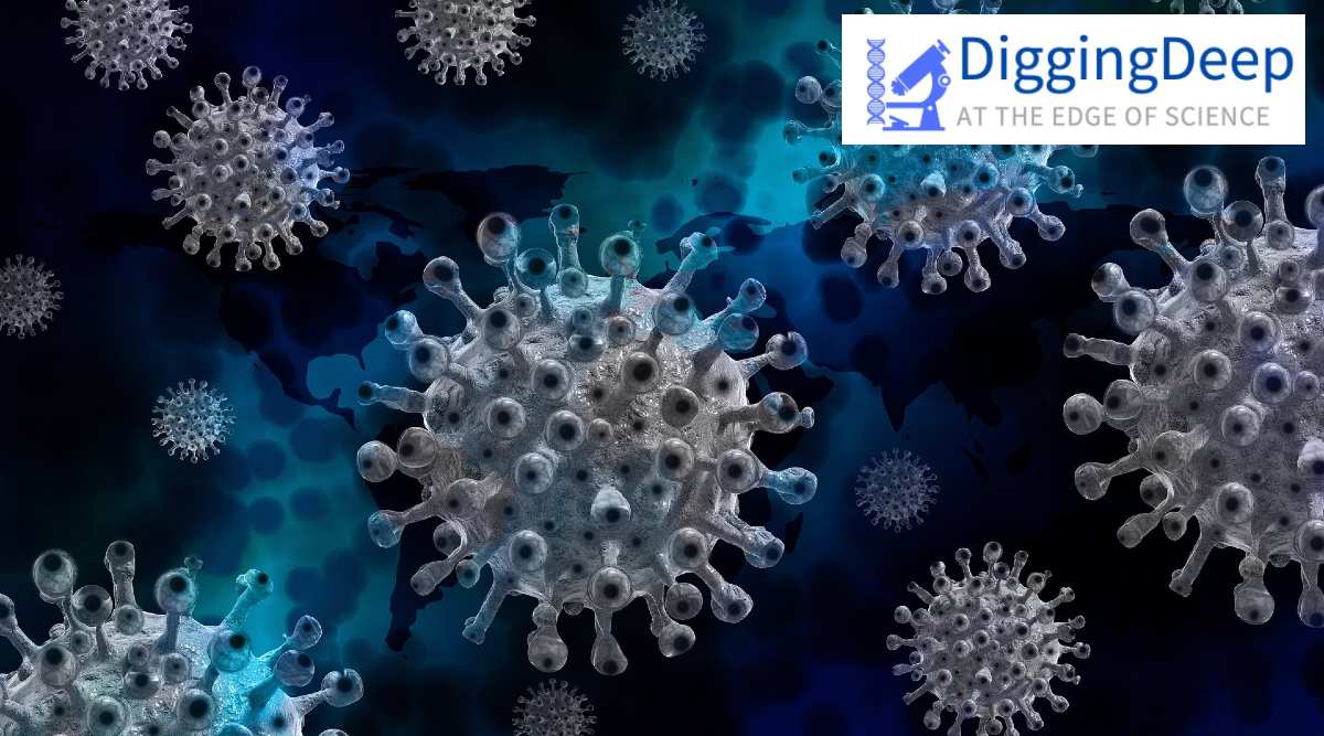 pathogens, pathogen transmission,