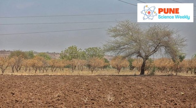 Pune Science Weekly: Longer duration of land fallowing could give ...