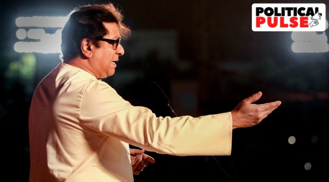Maharashtra Navnirman Sena Chief Raj Thackeray speaks during a rally in Aurangabad. (PTI)
