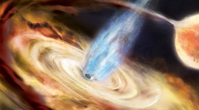 Black hole binaries pulling matter from orbiting star emitting x ray echoes