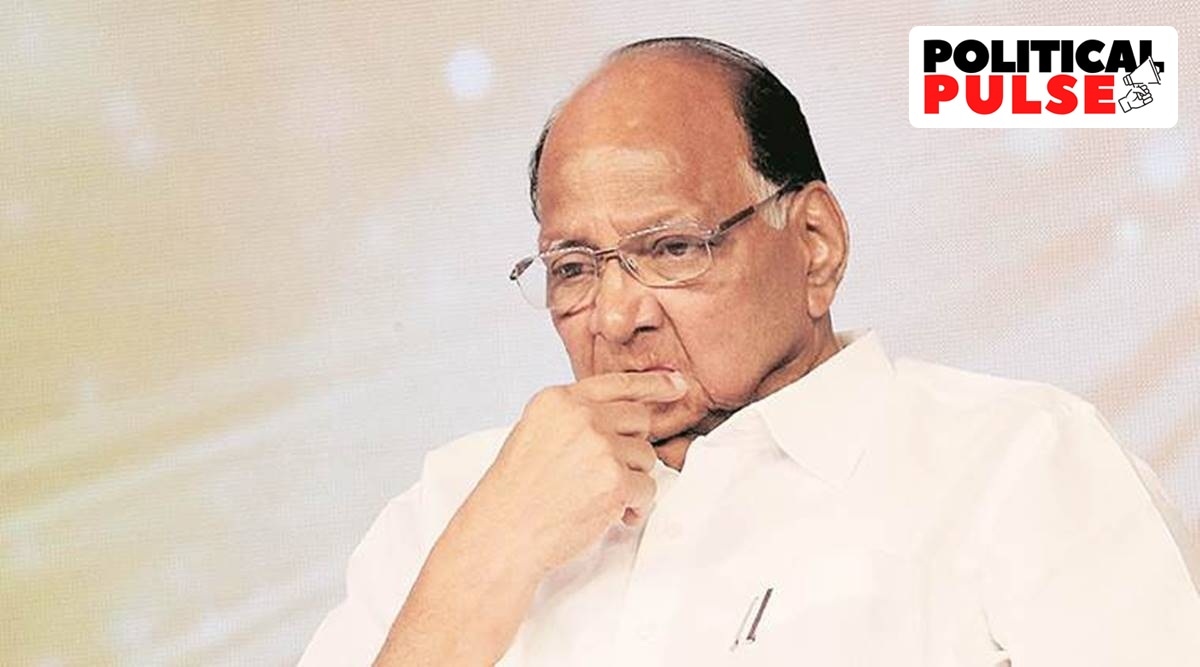 The angry young brigade of Sharad ‘Mr Congeniality’ Pawar | Political ...