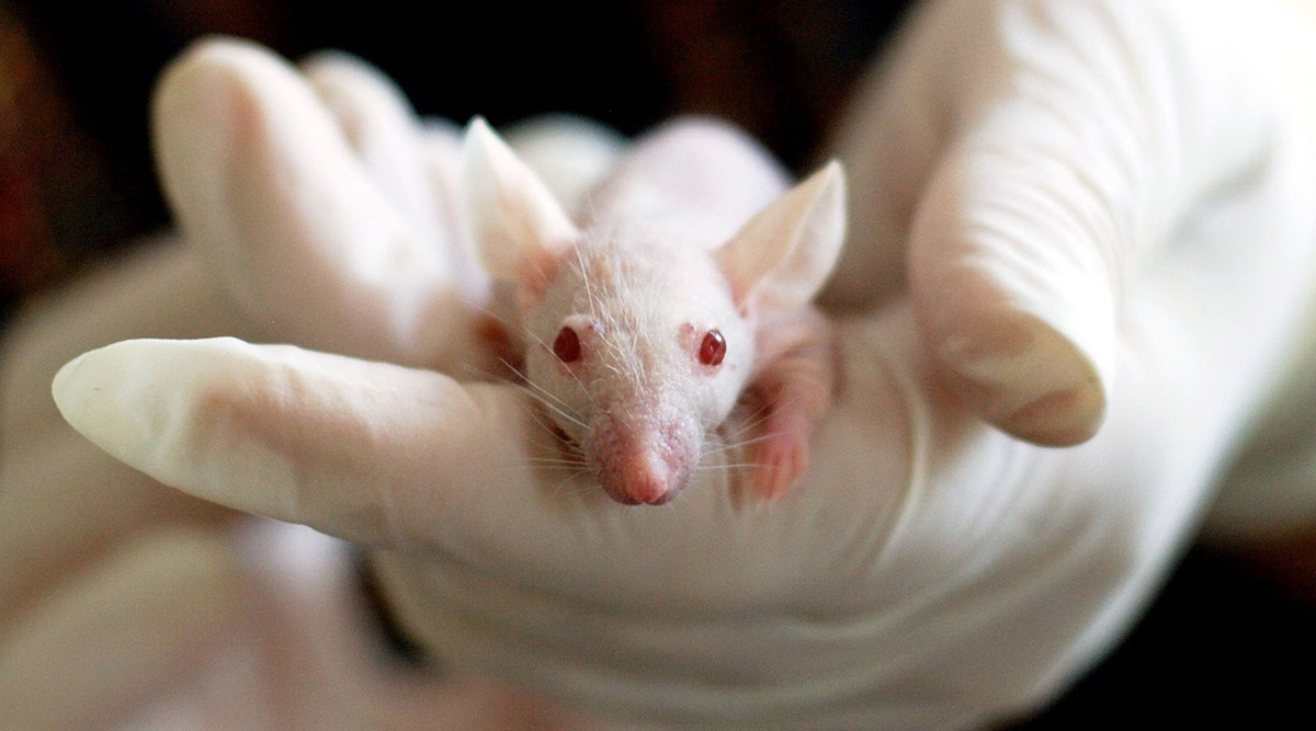 Spinal fluid from young mouse older mouse