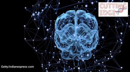 Side effects of TMS are occasional discomfort at the site of scalp stimulation by the TMS coil. There may be a rare occurrence of seizures.