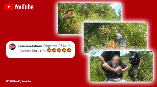 K-9 locates missing woman, woman with dementia goes missing, dog finds lost woman with dementia, Florida, US, indian express