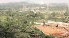 bmc aarey colony underpass for animals