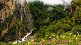 Valley of Flowers, Valley of Flowers UNESCO World Heritage Site, about Valley of Flowers, Valley of Flowers opens, indian express news