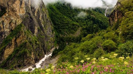 Valley of Flowers, Valley of Flowers UNESCO World Heritage Site, about Valley of Flowers, Valley of Flowers opens, indian express news