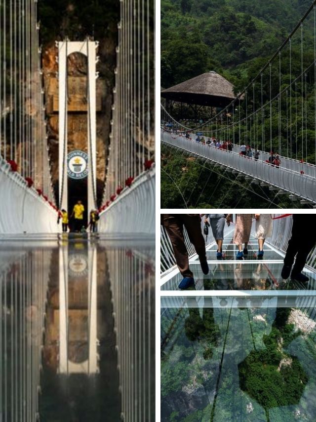 Vietnam Glass Bottomed Bridge Targets Thrill Seekers The Indian Express Vietnam Glass Bottomed Bridge Targets Thrill Seekers The Indian Express