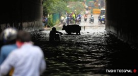 delhi, delhi news, delhi rains, waterlogging, underpass, delhi underpass