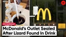 Lizard In Cold Drink, Area Manager Laughed Over The Complaint: Customer
