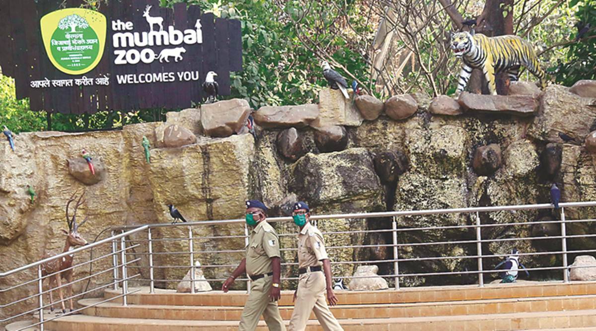 Pair of leopards, sloth bear are the latest to join Mumbai's ...