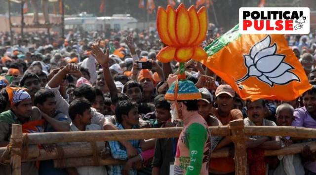 The ruling party's state president CR Paatil has set a target of winning all 182 seats but a functionary said that more than the Congress, which is bogged down with factionalism and defections, it is the AAP for which the BJP requires a counter-strategy. (Representational)