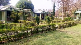 bor tiger3 no alt set