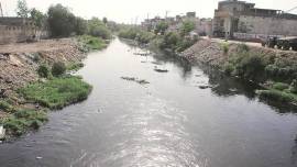 Sewerage Treatment Plant, Ludhiana, Buddha Nullah, Punjab news, Chandigarh city news, Chandigarh, India news, Indian Express News Service, Express News Service, Express News, Indian Express India News