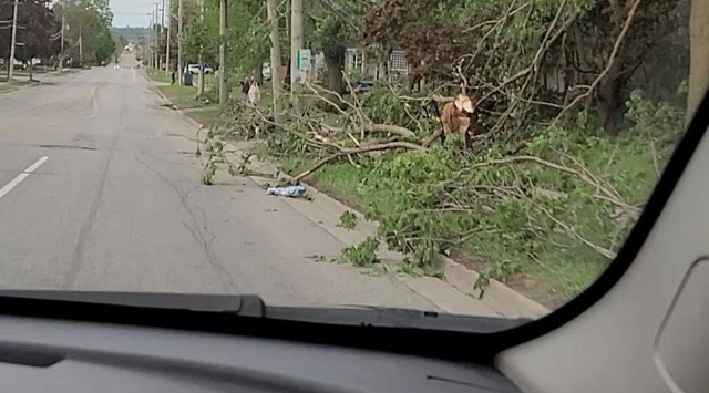 Damaged utility poles and trees are seen in the aftermath of a storm in Uxbridge, Ontario, Canada May 21, 2022 in this screen grab taken from a social media video. (Reuters)