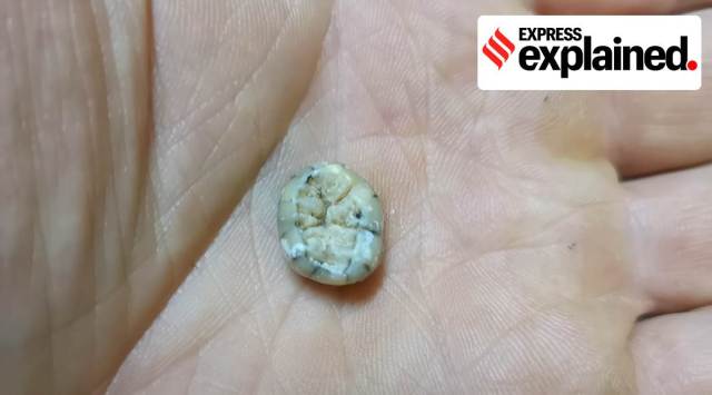 Express exclusive, Express Explained, Southeast Asian nations, Denisovans, Indian Express, India news, current affairs, Indian Express News Service, Express News Service, Express News, Indian Express India News