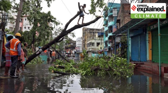 A man cuts branches of an uprooted tree after Cyclone Amphan made its landfall, in Kolkata, India, May 21, 2020. (Reuters Photo/File)