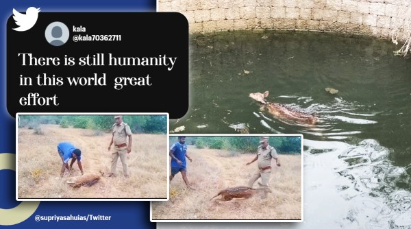 Spotted deer rescue video, Deer rescue video Tamil Nadu, Animal rescue video, IAS shares deer rescue video Tamil Nahu, Indian Express