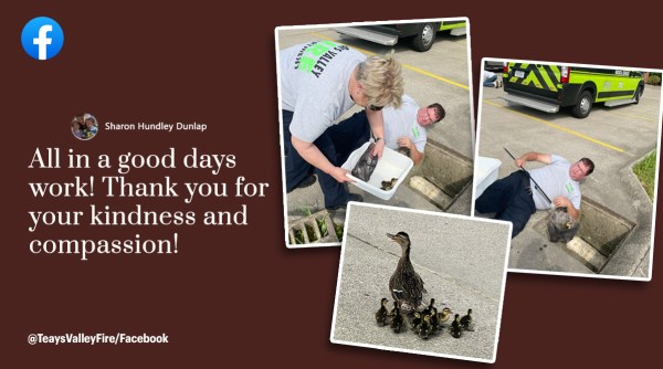Ducks rescued from storm drain, duck rescue, 11 ducklings recued from storm drain, indian express