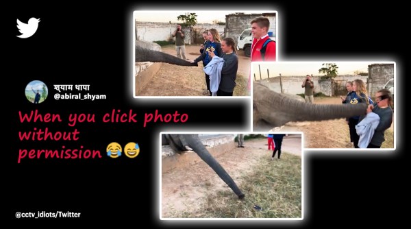 elephant, elephant slaps girl with trunk, elephant throws phone of girl, angry elephant video, viral video, indian express