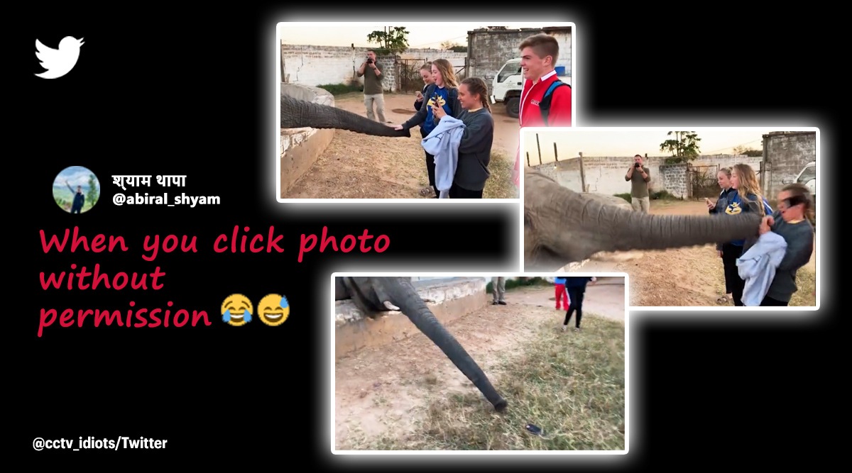 elephant, elephant slaps girl with trunk, elephant throws phone of girl, angry elephant video, viral video, indian express