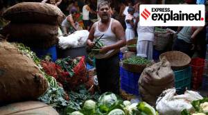 Explained: What’s behind the current food inflation?