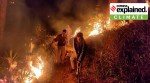 forest fires himachal uttarakhand