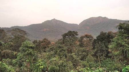 Goa govt to develop eco-tourism in forest areas