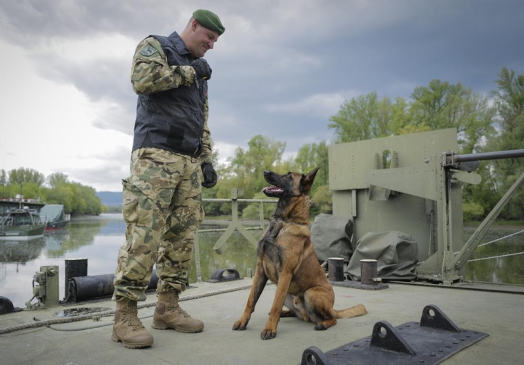 El ejército húngaro encuentra una misión en la vida de un perro maltratado