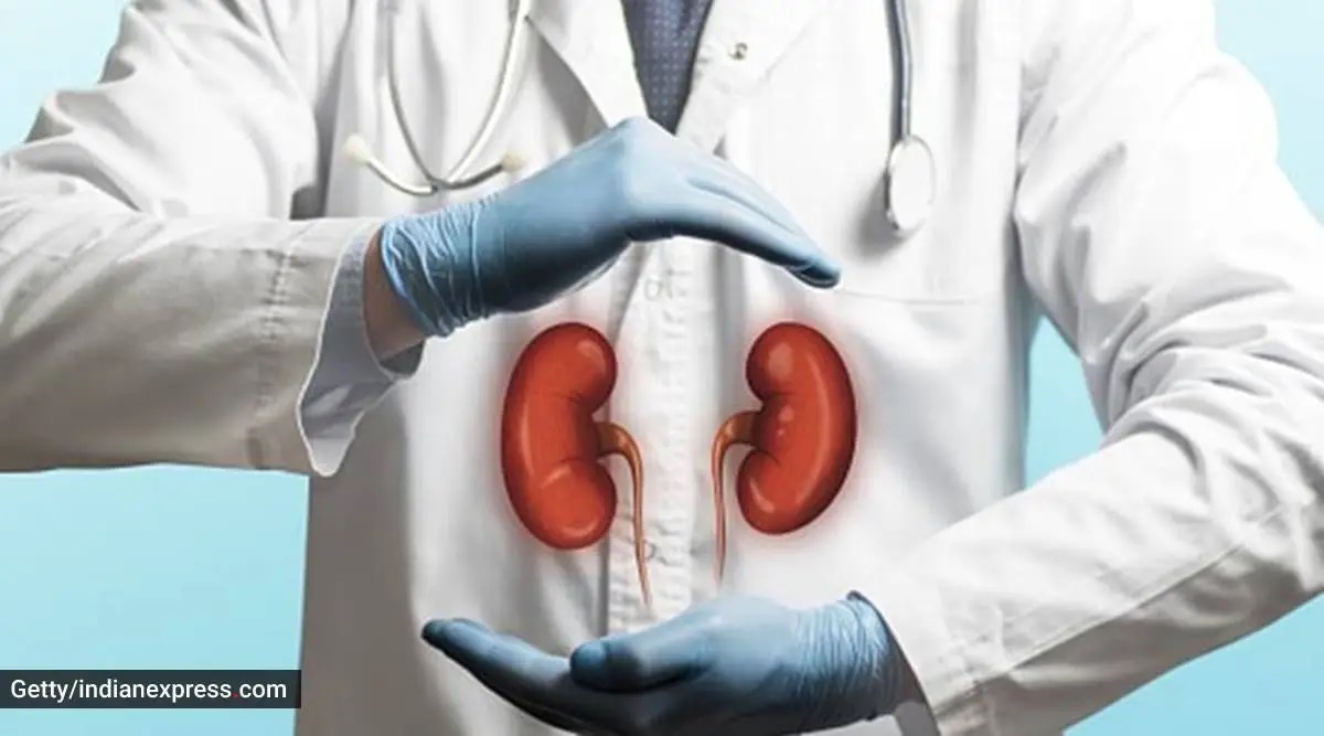 World Kidney Cancer Day 2022 Lifestyle Changes That Will Help Keep The   Kidney 1200 Getty 