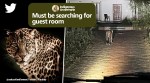 Katarniaghat Wildlife Sanctuary, leopard near guest house, forest rest house leopard, ruskin bond tiger in the house, indian express